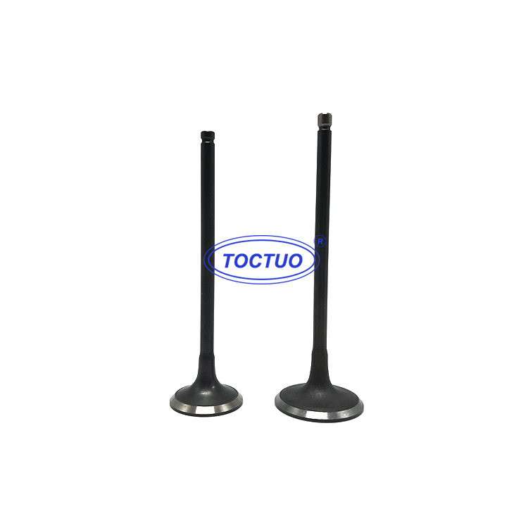 High Efficiency Engine Valve 22211-25000 22212-25000 for
