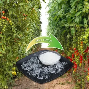 Neogeo — Polyacrylate, 50g, gel en polymère, Super Soco pour les tomates et le niaque, économie d'eau