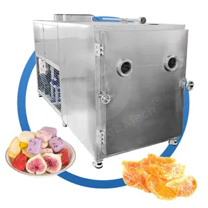 ORME Small Universal 100kg Freeze Dryer Raspberry Sauce Starch Dry Coffee Fruit Snack Machine Trade
