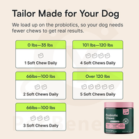 Complément alimentaire probiotique pour la santé intestinale des chiens et des chats, comprimés à mâcher, prébiotique, digestion, vitamines du complexe B, absorption rapide, équilibre