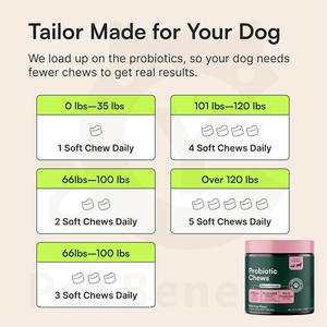 Masticables Probióticos para la Salud Intestinal de <span class=keywords><strong>Perros</strong></span> y Gatos, Suplemento Digestivo Prebiótico, Vitaminas del <span class=keywords><strong>Complejo</strong></span> <span class=keywords><strong>B</strong></span>, Absorción Rápida, Equilibra el Sistema Digestivo - Product Image 3