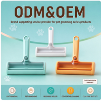 Outil de nettoyage réutilisable en plastique pour enlever les poils d'animaux, pour chiens, chats, tapis, canapés, vêtements, usage domestique
