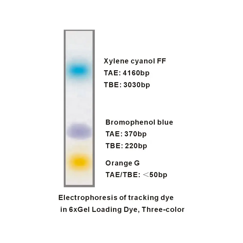 6x ดีเอ็นเอโหลดสีย้อม,สีส้ม M9071