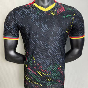 Camisetas de Fútbol de la Liga Africana Nuevas al por Mayor, Equipaciones de Fútbol de Camerún, Maillot De Football Du Cameroun - Product Image 1