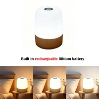 Lámpara de Noche Portátil con Carga USB Tipo-C, Batería Integrada, Brillo Ajustable, Diseño Moderno para