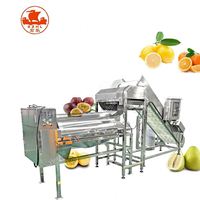 Stekelige Peer Passievrucht En Draak Fruit Schillen Arils Verwerkingsmachine Lijn Industriële Granaatappel Wassen Schilmachine