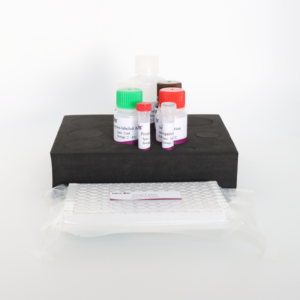 Cổ điển lợn sốt virus (csfv) kháng thể <span class=keywords><strong>Elisa</strong></span> kit-độ nhạy cao cho porcine huyết thanh thử nghiệm (oie compliant) - Product Image 5