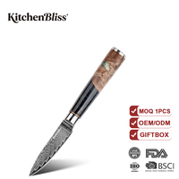 KitchenBliss Handgemaakte VG10 Core Damascus Staal Japanse Schilmes, Op Maat Gemaakt Koksmes, Schilmes voor Fruit & Groenten
