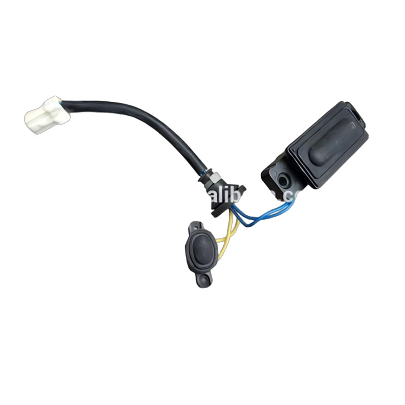 aki00 Suzuki SX4 Back Door Switch Assy - OEM Quality Spare Part