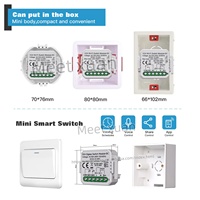 Module de commutation intelligent Zigbee à contact sec, disjoncteur relais DIY pour maison connectée, compatible DC 12-48V AC 100-240V, compatible Alexa Google Home