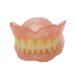 Odontoiatrico anatomico per protesi dentaria materiale in resina materiale medico per la clinica ospedaliera orale Display Doctor-Patien - Product Image 1