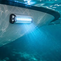 DAMAVO Lampe LED Submersible en Acier Inoxydable à Haute Luminosité Étanche IP68 pour Bateaux Marins et Opérations de Plongée