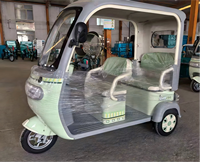 Triciclo Eléctrico de Pasajeros al por Mayor de Fábrica, Puertas Personalizables, 800W, Capacidad de Carga, 4 Pasajeros, Multiusos, Tipo Tuk