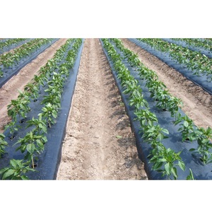 Film de paillage agricole de haute qualité en plastique CENPLAS, type extrusion, nouveau, service OEM, style moulage à rouleaux, en provenance du Vietnam - Product Image 1