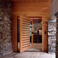 Conception moderne de l'entrée principale, portes pivotantes extérieures en bois massif insérées en verre pour maison