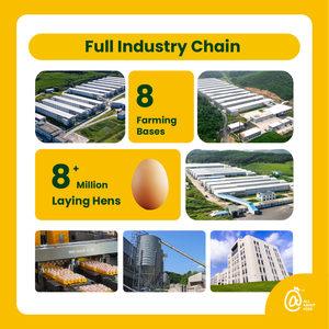 Jinyi קמח חיטה קריספי מטוגן מטוגן סיני ביצה כרישה כופתאות & פנקייק אפשרות ארוחה מהירה במיקרוגל מוכן - Product Image 3