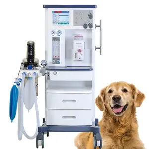 Máquina de anestesia para niños, fabricante sin polvo de uso común, para ropa veterinaria