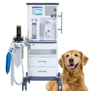 Stofvrij Fabrikant Veelgebruikte Veterinaire Kleding Bedrijf Pet Boyles Anesthesie Machines