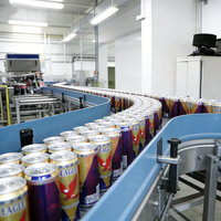 Usine de traitement clé en main pour le remplissage automatique à chaud de petites canettes de café glacé et de jus de raisin