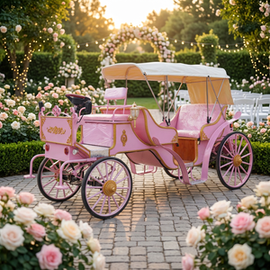 Carruaje Eléctrico Romántico Estilo Cenicienta para Bodas, con Capacidad para 5 Personas, 60 km/h, Transporte Especial - Product Image 1