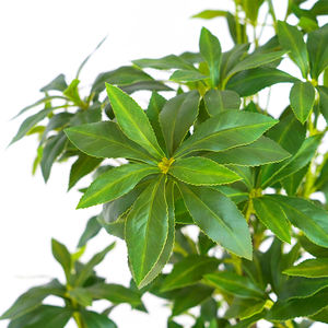 Plante artificielle durable <span class=keywords><strong>Pieris</strong></span> <span class=keywords><strong>Japonica</strong></span>, fleurs, arbre pour décoration intérieure et extérieure, mariage, résistant aux intempéries, faible entretien - Product Image 5