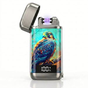 Briquet Électrique Falcon X 2026 France – Étui Élégant et Portable pour Accessoires Fumeurs avec Recharge USB et Conception Coupe-Vent - Product Image 3