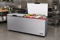 Congélateur horizontal commercial grande capacité à ouverture par le haut WKN BD-350, congélateur profond certifié CE/CB, contrôle électronique, fabrication OEM