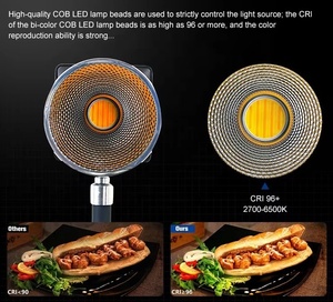 W40B High Color Rendering (CRI96) Lampe de photographie LED à main-40W haute puissance, avec télécommande, portable et rechargeable - Product Image 4