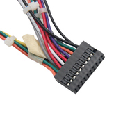 Rakitan Kabel Harness Kabel H5P-SHF-AA PAP-02V-S M20-1071000 Kustom 2 Baris 2.54 mm 20 Posisi dengan Housing Kabel