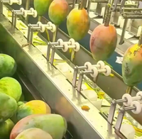 Automatische elektrische mango-, avocado-, citroen-, sinaasappel-, appel- en peer-schilmachine