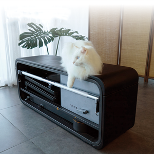 2026 di alta qualità, - Product Image 4