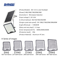Reflector Solar LED de Alta Luminosidad, de Aluminio Fundido a Presión, para Patio y Jardín, Impermeable IP65, 6w 10w 15w 20w 30w