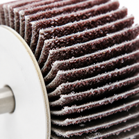 Disque abrasif en alumine REX monté sur broche pour le meulage de surface sur acier inoxydable et bois - Prise en charge OEM