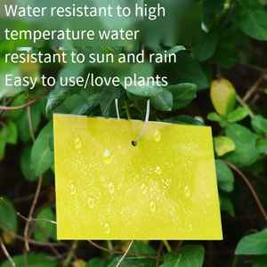 2025 Nuevas Trampas para insectos de granja e invernadero económicas y ultraeficaces: su solución ideal para el control de plagas - Product Image 6