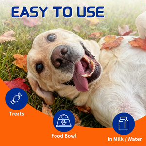 Köpekler için lizin yumuşak çiğnemek takviyeleri, veteriner-formüle + çinko, solunum sağlığı ve mukus rahatlama, All-Breed günlük bakım - Product Image 4