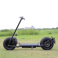 Scooter Eléctrico Chopper 2026 de 2000w 3000w Seev Citycoco con Neumáticos Anchos