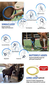 Non Invasive PEMF Equine Device for Horses Muscle Fatigue Relief and Accelerated <strong>Recovery</strong> With <strong>Dual</strong> Channel Control - Product Image 5