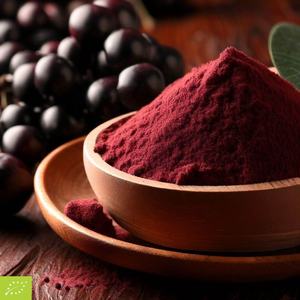 Aronia (Chokeberry) Extracto en polvo Antocianinas 25% - Product Image 1