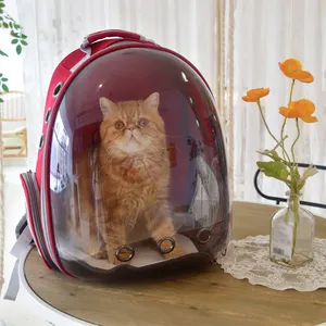 Mochila transparente para transporte de animais, bolsa portátil para carregar animais de estimação