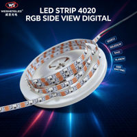 Bande LED numérique RVB SK6812 4020 à vision latérale 100 LED/m 5V, bande LED adressable, fabricant (Aucun avis pour le moment)