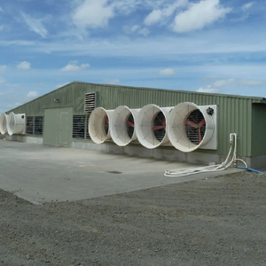 Gà Thịt/nhà lai tạo/lớp/trứng cài đặt Trại giống xây dựng mạ kẽm ánh sáng đo Kết Cấu Thép đổ xây dựng tối giản - Product Image 2