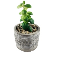 Offre Spéciale : Pots de Fleurs Décoratifs pour Bureau et Maison, Pots de Plantes Artificielles Bonsaï, Fournitures de Jardinage, Pots et Jardinières