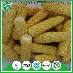 Supply BRC Certified IQF Frozen Sweet Corn Whole Cut Cob Kernels Good Quality Hot Sale