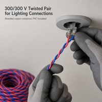 Kabel Fleksibel Tembaga Berinti 2, Isolasi PVC, Tipe Twisted Pair 300/300V RVS untuk Bangunan