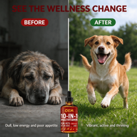 OEM ODM Gouttes liquides multivitaminées 10-en-1 pour animaux de compagnie (chiens et chats) – Soutien immunitaire, haute teneur en protéines, absorption rapide, 60 ml – Marque privée