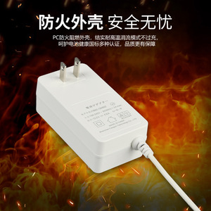 Cross Border Exclusive 12V4A Certified Power Adapter Wall-Mounted <b>Charger</b> for <b>Camera</b> Security Monitoring - Product Image 4