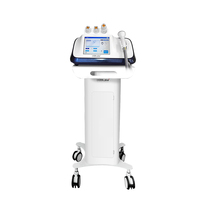 Equipo Coreano de Rejuvenecimiento Facial Ultrasónico de Alta Energía, Funciones Antienvejecimiento, Cepillo Tipo Martillo con Microfrío/Microcalor