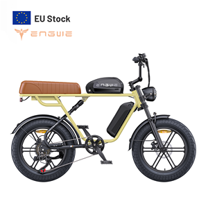 จักรยานไฟฟ้า EU/UK Stock Engwe M115.6+13AH แบตเตอรี่ลิเธียมคู่ 250W ขนาด 20 นิ้ว ยาง FatTire ระบบกันสะเทือนคู่ สไตล์มอเตอร์ไซค์ - Product Image 1