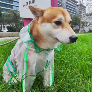 Manteau de pluie <span class=keywords><strong>pour</strong></span> chien S-7XL, mignon, petit modèle, quatre pattes, <span class=keywords><strong>imperméable</strong></span>, écologique, en polyester, avec poignée de traction, couleur unie, toutes saisons - Product Image 5