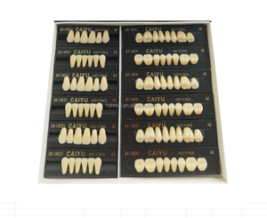 Resina Acrílica Dental <span class=keywords><strong>Caiyu</strong></span> para Laboratorio Dental, Resina Sintética para Dientes, Dentaduras Completas y Parciales - Product Image 1